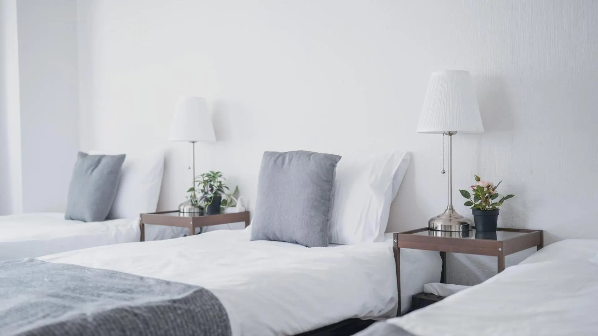 The Best Choice For Accommodation In Kabukicho Tokyo 0*,  Japan